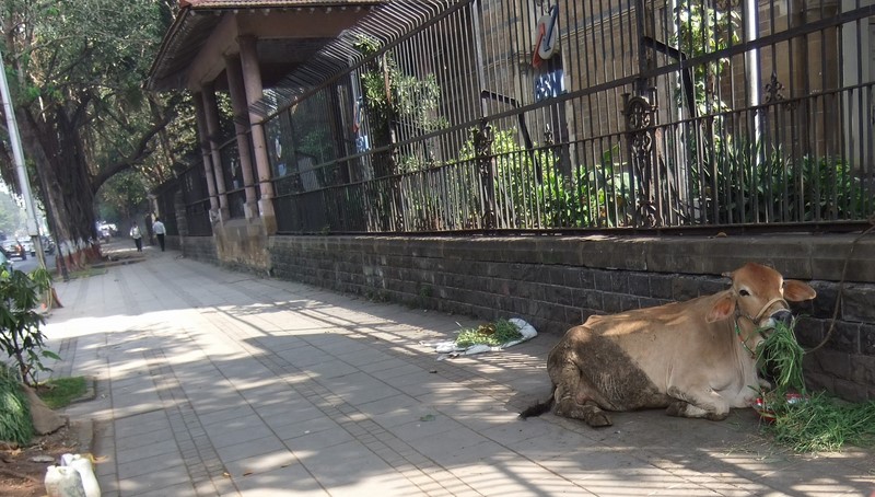 Mumbai: First Impressions