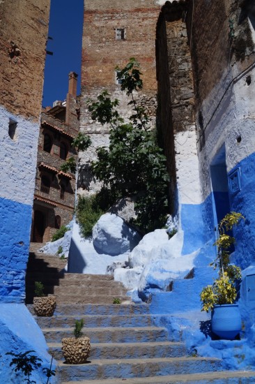 Blue-washed steps heading toward the back of the medina.