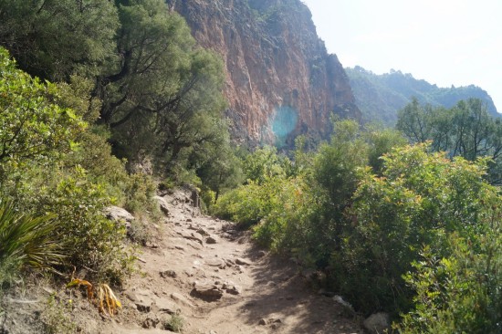 The trail on the way to the waterfall.