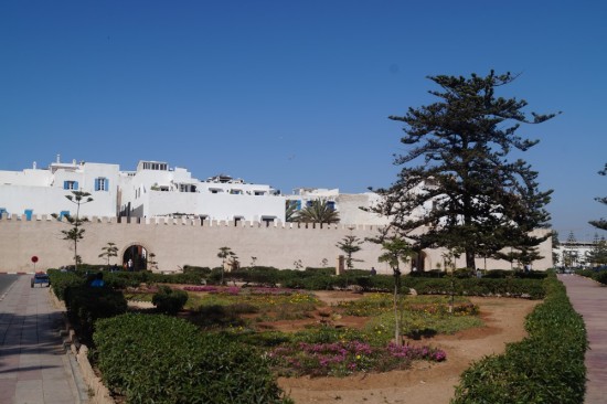 The courtyard just outside the southern end of the medina, well manicured and cherry.
