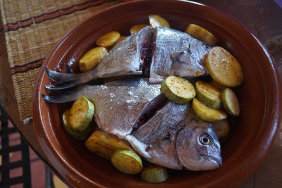 The before shot. Two whole dorado with squash, potatoes, lemon juice, tomato paste, and spices.