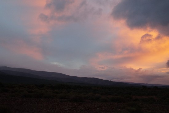Day two: we were up early to enjoy a sunrise game drive.