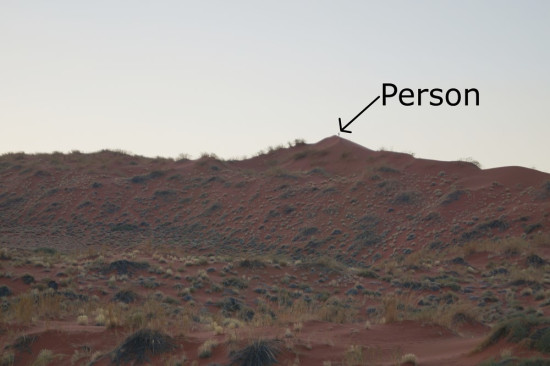 In this photo, we are already about 30 feet up. You can (barely) see the person at the top. Click for a larger image.