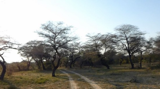 Luckily for us, "Serena", our GPS, still recognized this as a road.