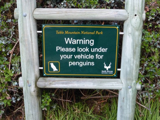 Yes, this is a real sign. Yes, we actually checked.