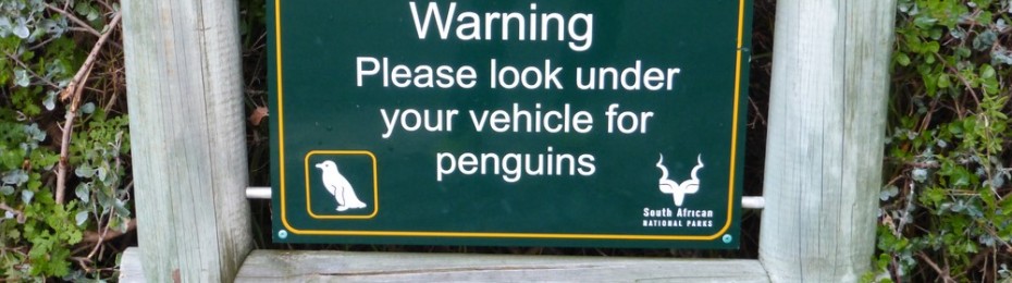 South of Cape Town: Gardens, Cliffs, and Penguins, Oh My!