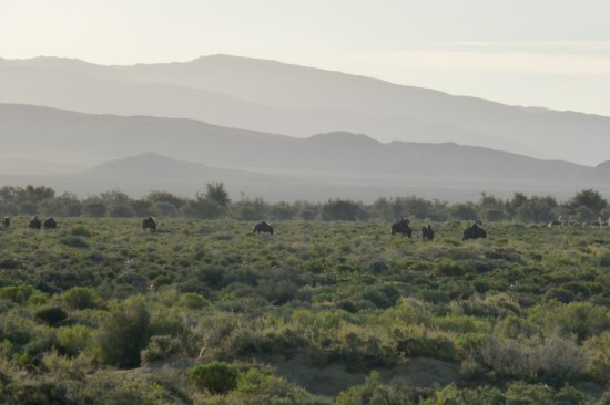P1000682