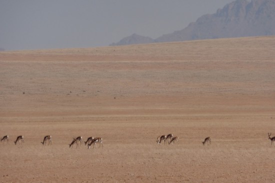 The drive through Namibia was one of our highlights of our whole trip to date!