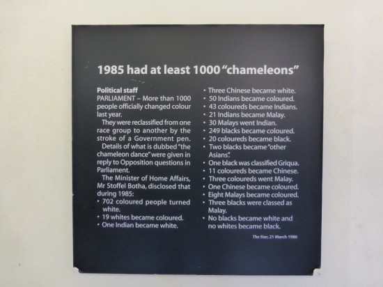 P1010083