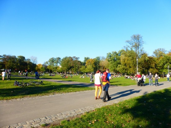 Volz Park right by our house in Berlin.